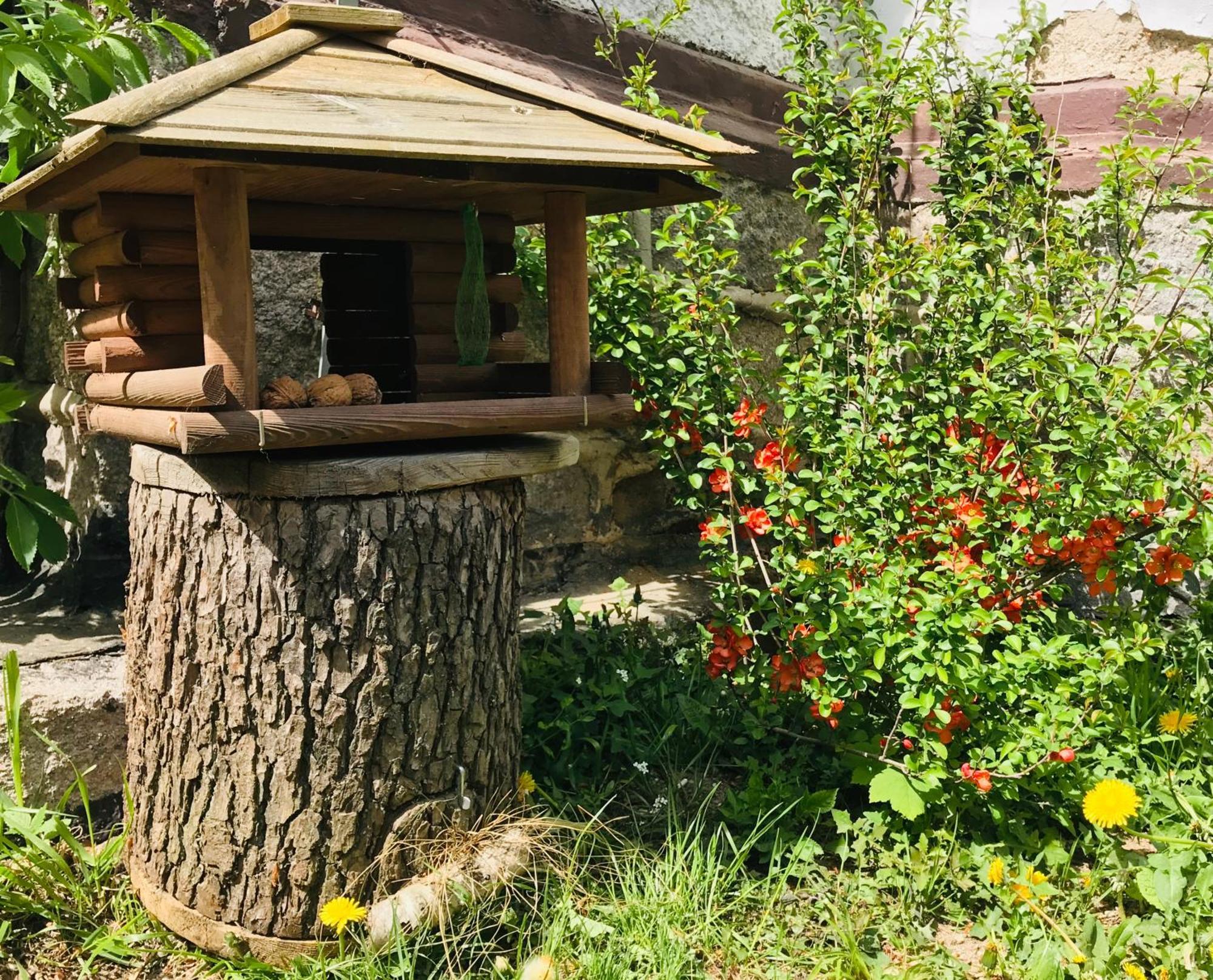 Pod Skocznia Apartment Karpacz